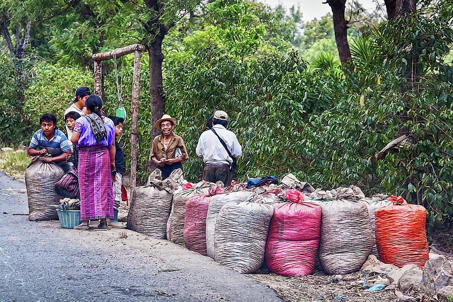 Coffee pickers in Guatemala Photograph by Tatiana Travelways