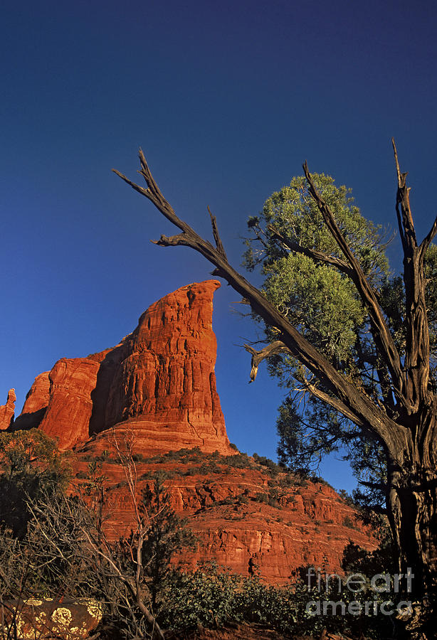 Sunset Photograph - Coffee Pot Rock And Juniper Sedona Arizona by Dave Welling