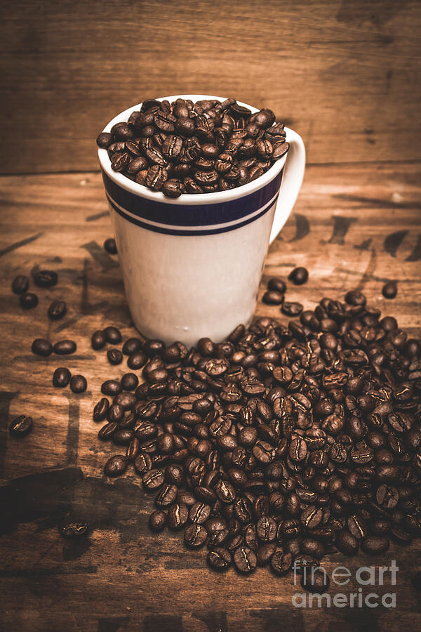 Coffee shop cup and beans Photograph by Jorgo Photography