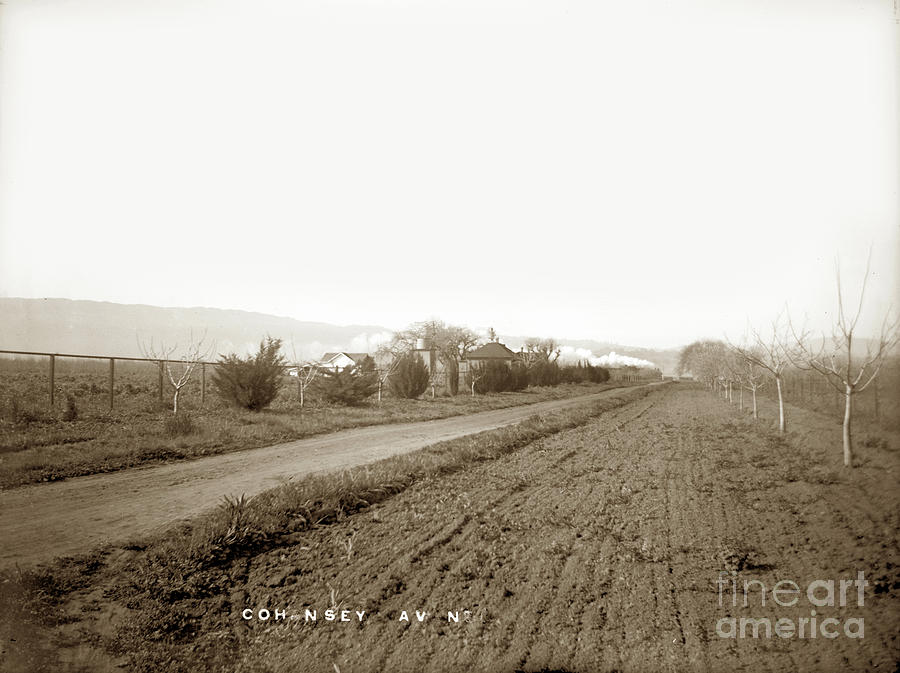 Vintage Photograph - Cohansey Avenue, Gilroy, Santa Clara Valley Circa 1900 by Monterey County Historical Society