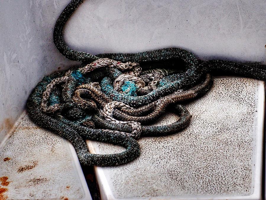Coiled Boat Rope  Photograph by Buck Buchanan