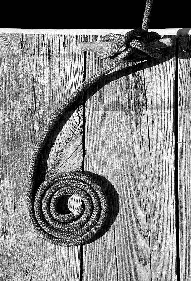 Coiled Photograph by Charles Harden