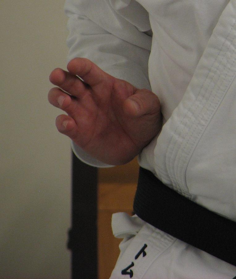 Karate Photograph - Coiled by Kelly Mezzapelle