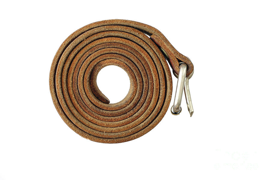Coiled leather belt on a white background Photograph by Michal Boubin