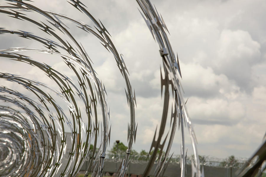 Coils Of Razor Wire On Fence Photograph