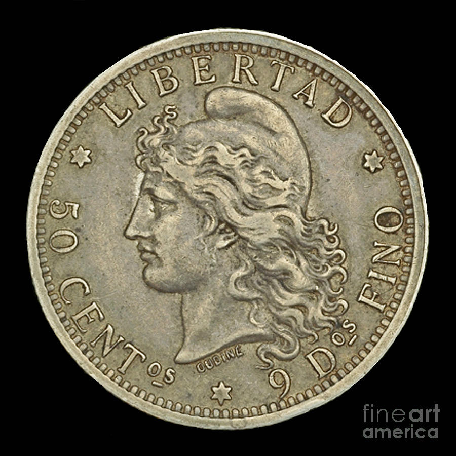 Coin Argentina Photograph