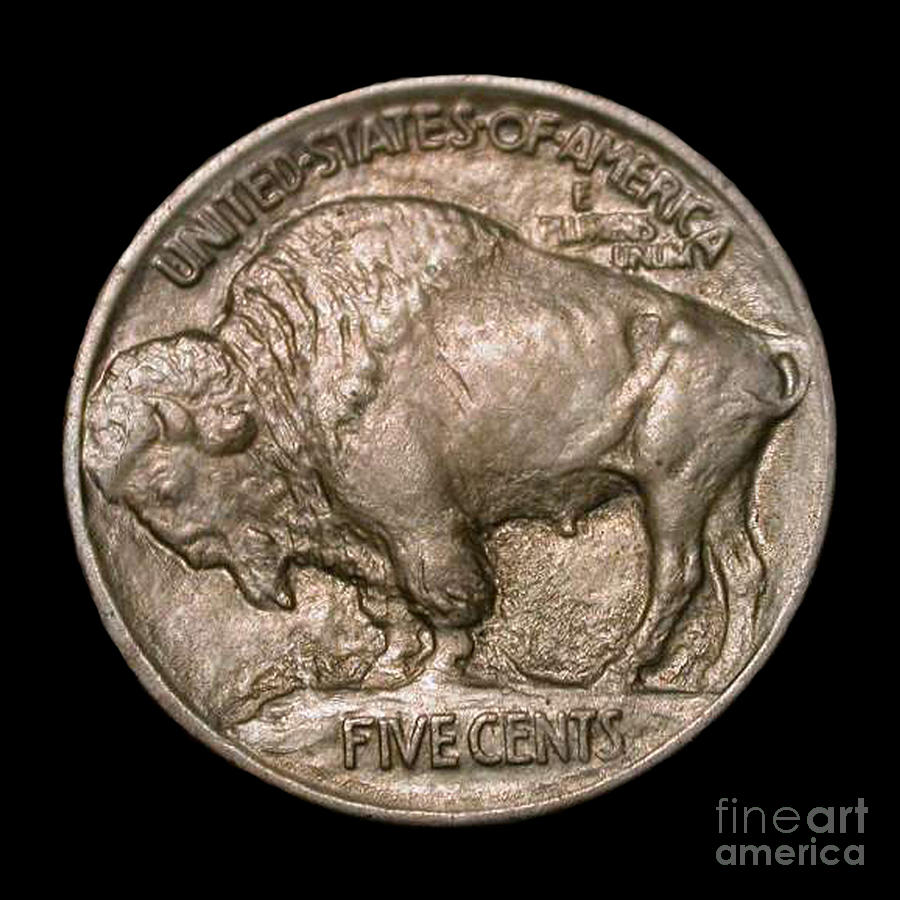 Currency Photograph - Coin Buffalo by Jost Houk Currency Photograph - Coin Buffalo by Jost Houk
