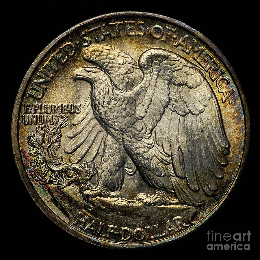 Coin Eagle Half Photograph by Jost Houk