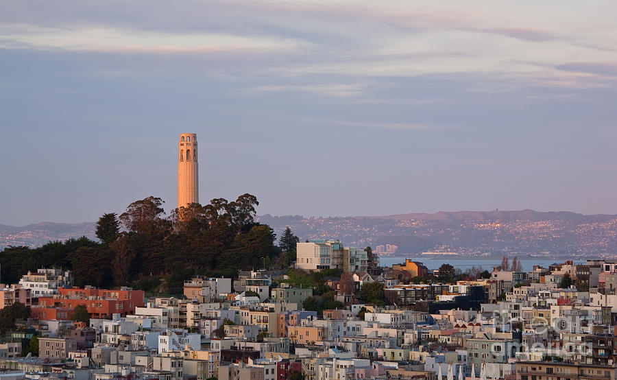 San Francisco Photograph - Coit Tower at Sunset by Matt Tilghman