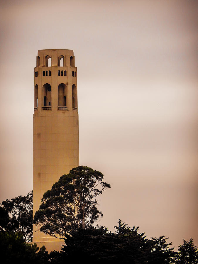 Coit Tower Photograph by Marnie Patchett