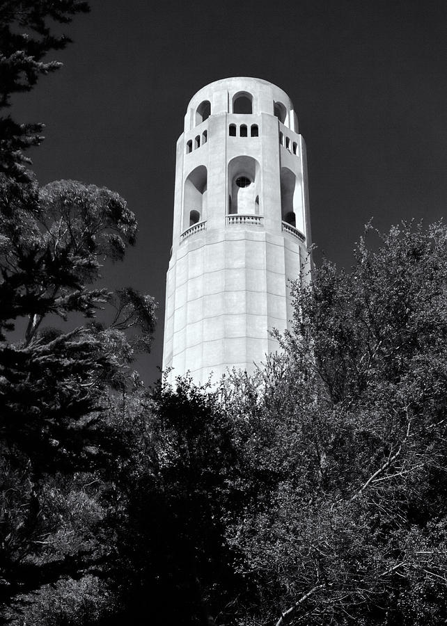 Coit Tower Photograph by Nicholas Blackwell