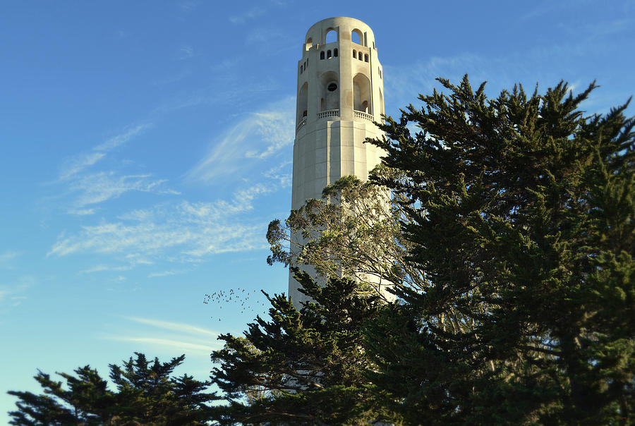 Coit Tower - San Fransisco Photograph by Glenn McCarthy Art and Photography