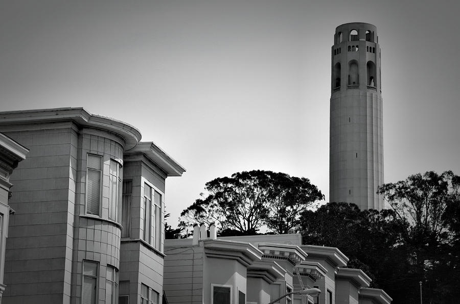 Coit Tower Photograph by Spencer Hughes