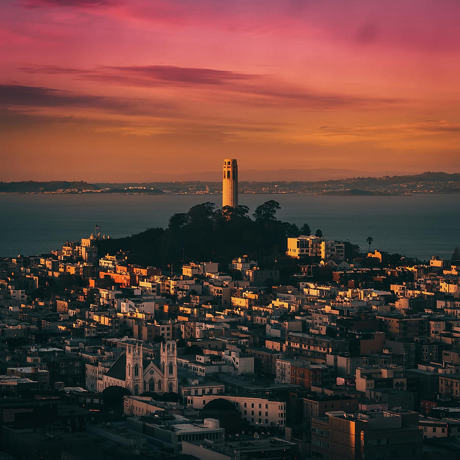 coit tower view