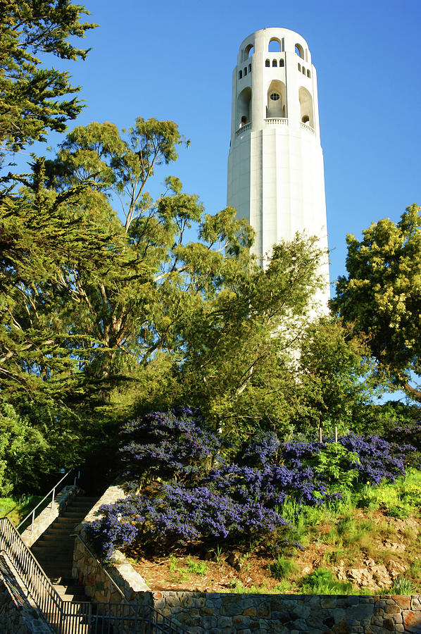 Coit Tower - the Pinnacle of Telegraph Hill in San Francisco California Painting by Georgia Mizuleva