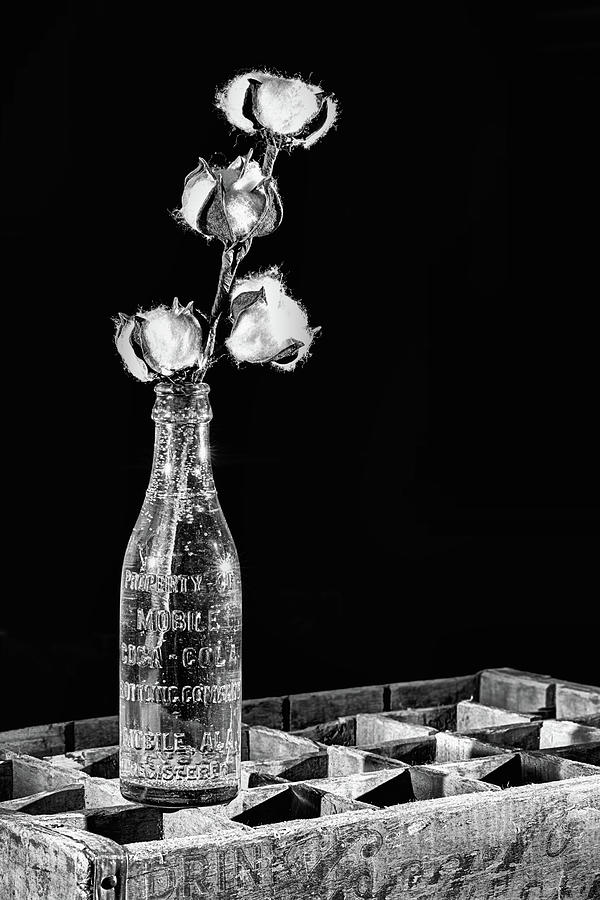 Coke And Cotton Still Life Black and White Photograph by JC Findley