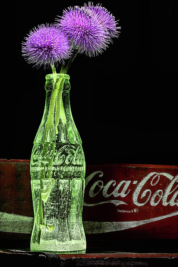 Coke and Flower Still Life Photograph by JC Findley