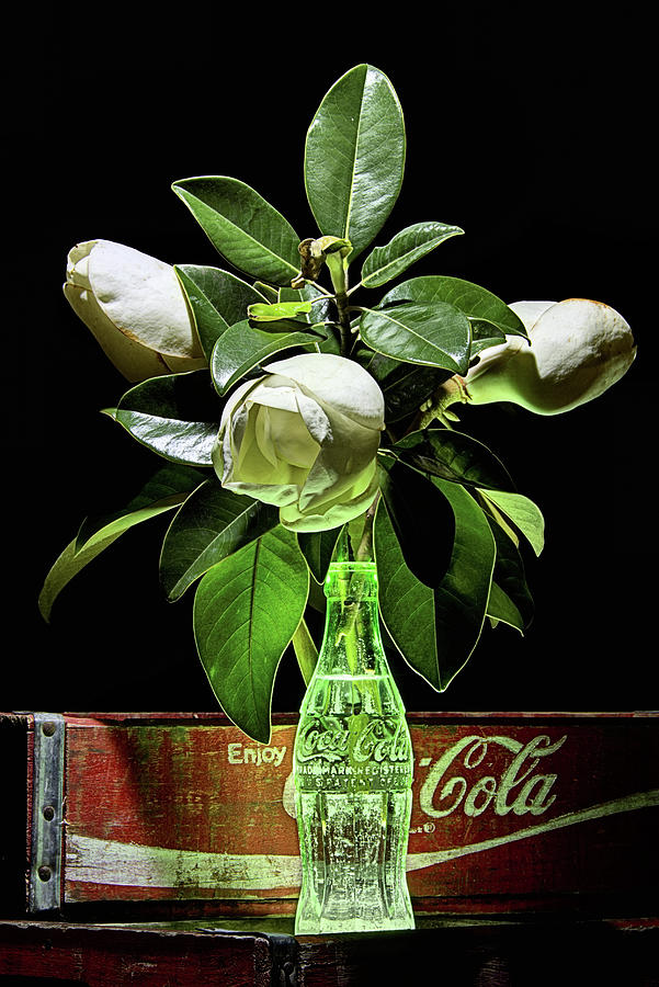 Coke And Magnolia Still Life Photograph by JC Findley