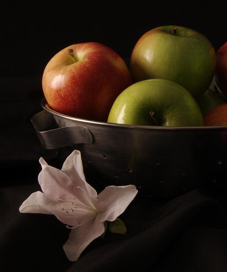Colander Apples Photograph by Richard Rizzo