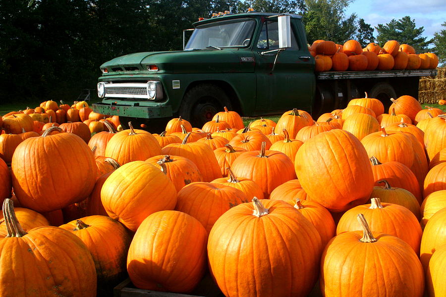 Colby Farm Pumpkin Truck Photograph by Mark Quarantiello - Fine Art America