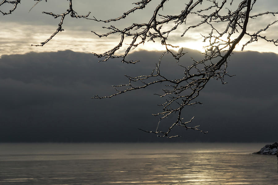 Cold Beauty - Ice Covered Branches at the Waterfront Photograph by Georgia Mizuleva