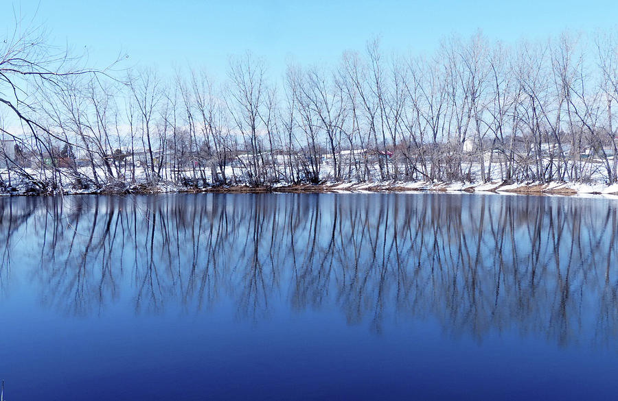 Cold blue pond Photograph by Thomas Samida