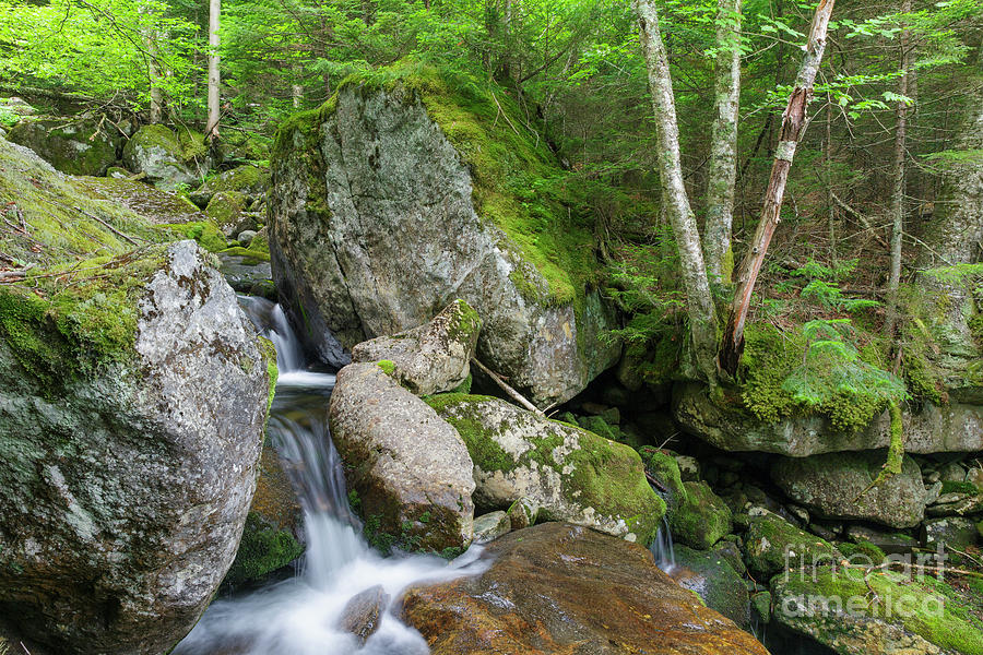 Nature Photograph - Cold Brook - White Mountain National Forest by Erin Paul Donovan
