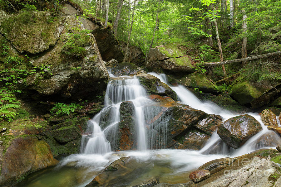 Cold Brook - White Mountains New Hampshire Photograph by Erin Paul Donovan
