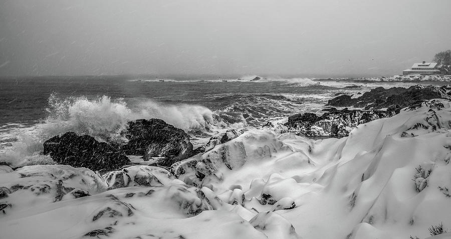 Cold Coast Monochrome  Photograph by Tony Pushard