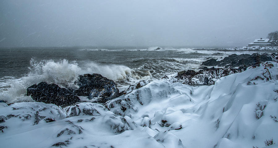 Cold Coast  Photograph by Tony Pushard