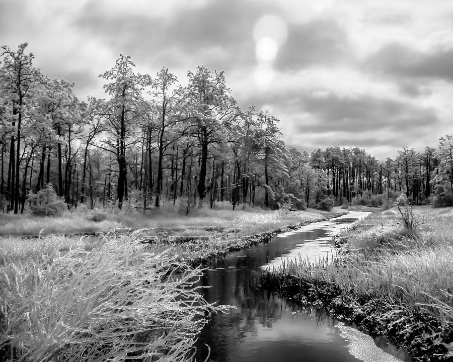 Cold Creek Photograph by Hayden Hammond