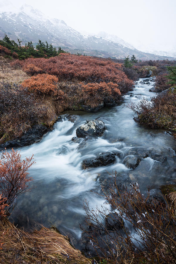 Cold Creek in Autumn Photograph by Tim Newton Cold Creek in Autumn Photograph by Tim Newton