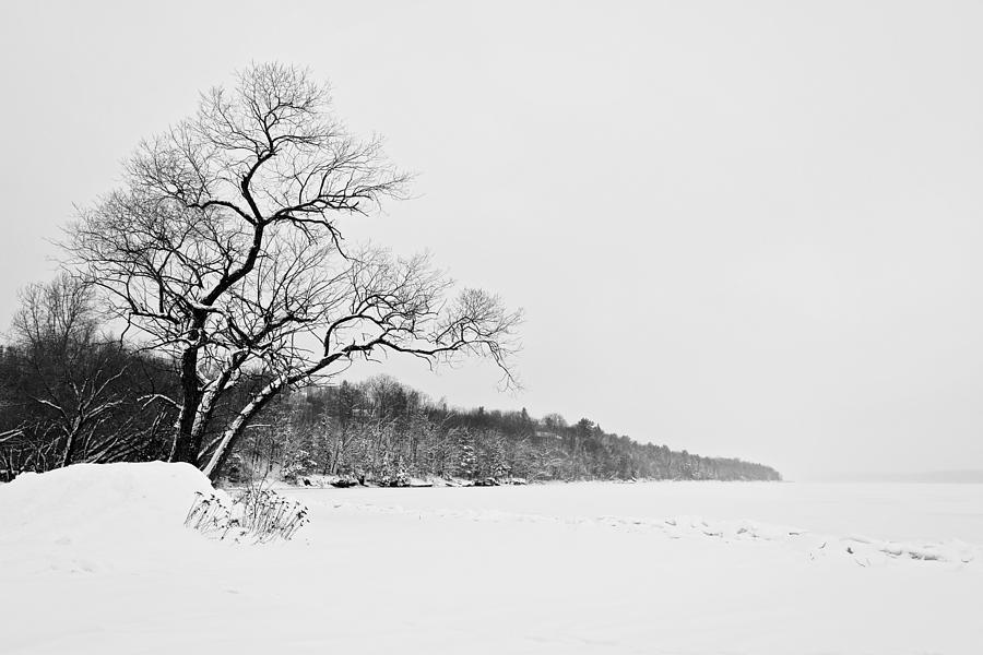 Black And White Photograph - Cold Crush by Kellie Prowse