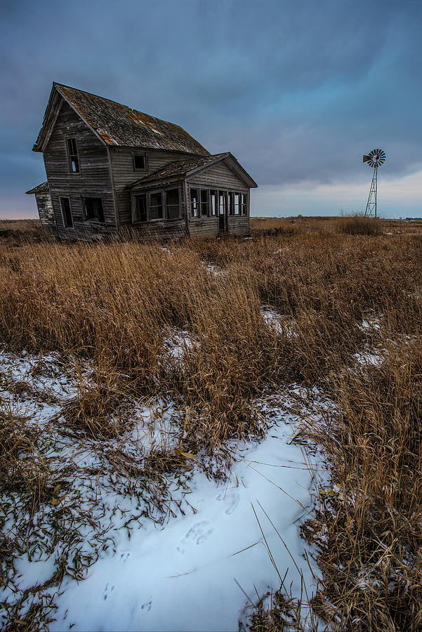 Cold day Photograph by Aaron J Groen