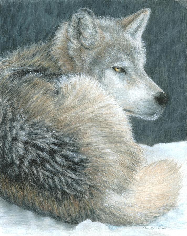 Nature Painting - Cold Evening by Carla Kurt