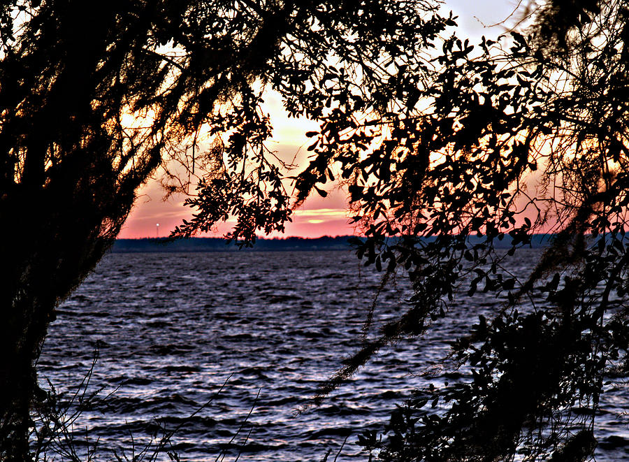 Cold Florida Sunset Photograph by Bob Johnson