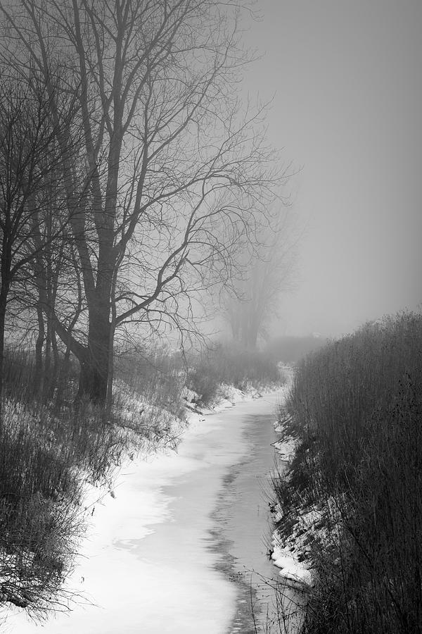 Cold Fog Photograph by Cathy Beharriell