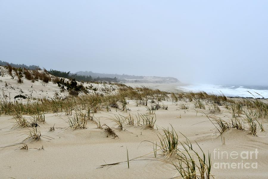 Cold Foggy Beach Photograph
