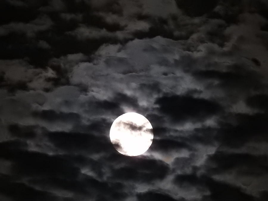 Cold Moon Of Winter Photograph