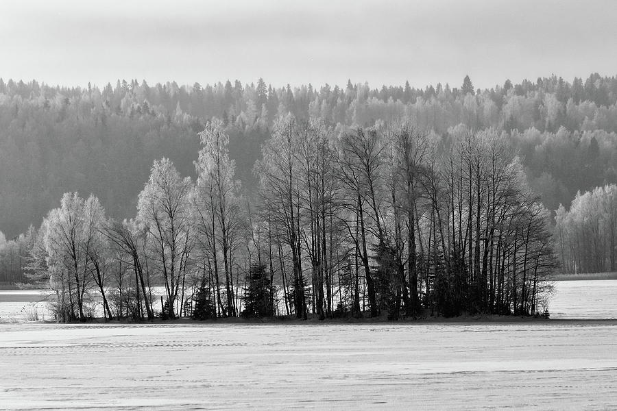 Cold Morning On The Lake Bw Photograph