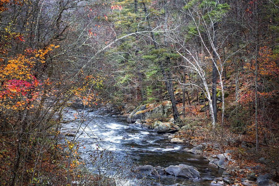 Cold Mountain Stream Photograph by Debra and Dave Vanderlaan | Fine Art ...