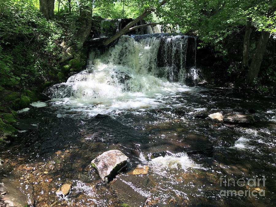 Nature Photograph - Cold Mountain Waterfall  by Susan Carella
