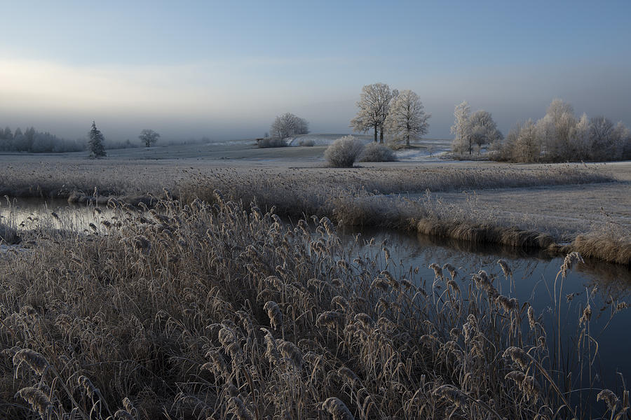 Winter Photograph - Cold by Nina Pauli
