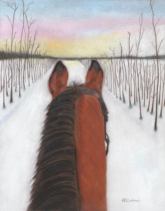 Long Cold Ride Drawing by Arlene Crafton