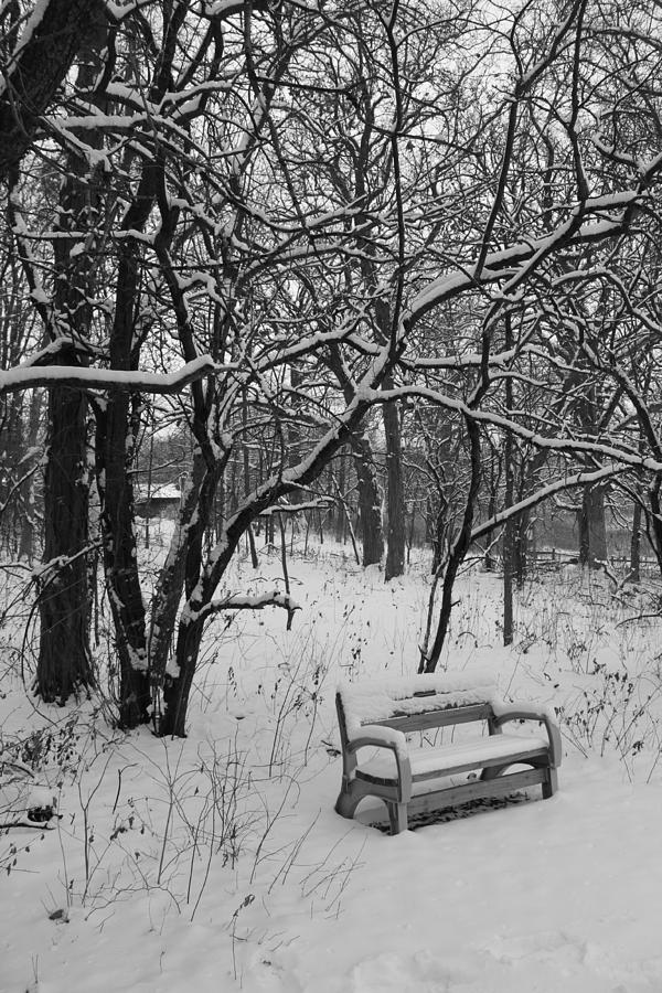 Cold Seat Photograph by Lauri Novak - Fine Art America