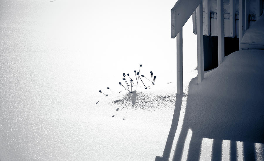 Cold Shadows Photograph by Maggie Terlecki