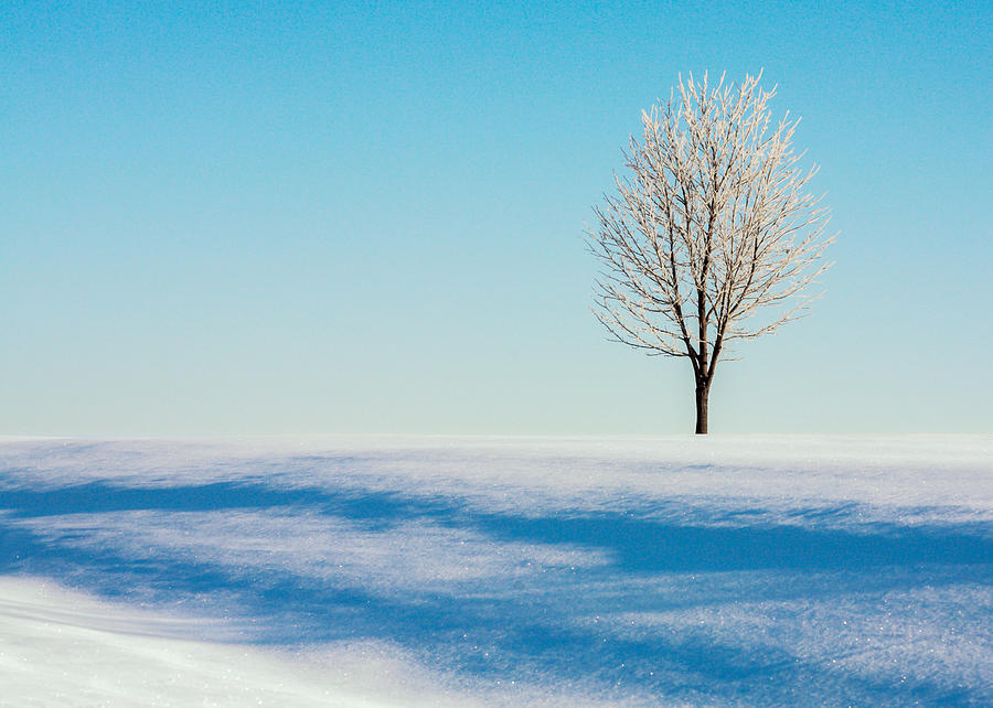 Cold Snap Photograph by Todd Klassy