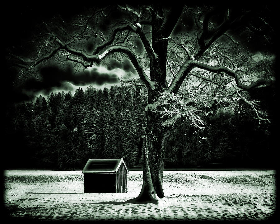 Cold Spell Photograph by Edmund Nagele FRPS