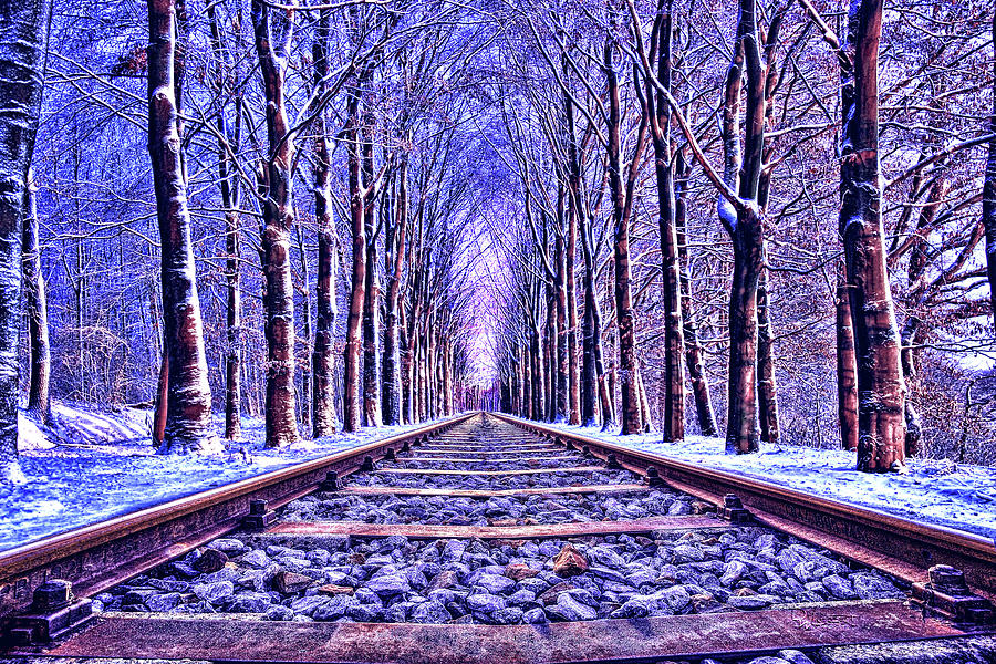 Cold Steel Rails Digital Art by David Luebbert