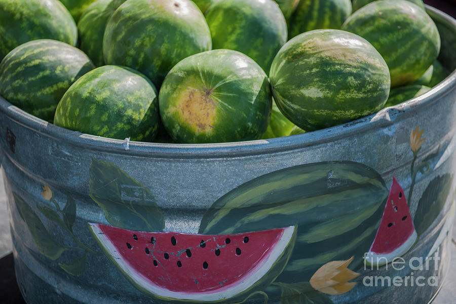 Cold Watermelons Photograph by Dale Powell